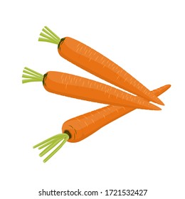 Carrot on a white background. Vegetables, ingredients for cooking. Vector illustration