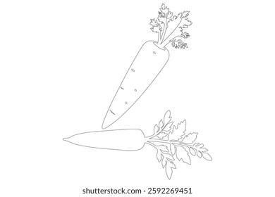 Carrot in one continuous line drawing of carrot vector illustration