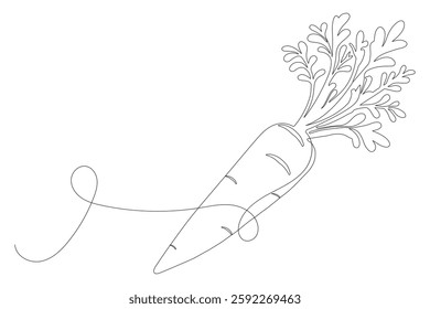 Carrot in one continuous line drawing of carrot vector illustration