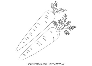 Carrot in one continuous line drawing of carrot vector illustration