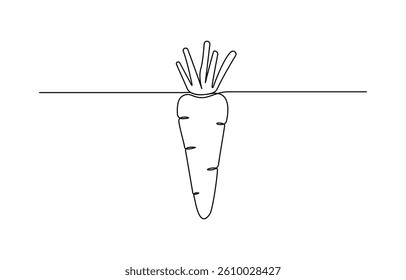 Carrot in one continuous line drawing of vector illustration, icon isolated on white background.