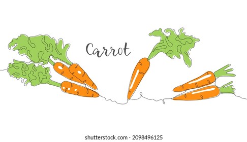 Carrot. One line drawing isolated on white background. Beautiful hand drawn design vector illustration for posters, wall art, tote bag, mobile case, t-shirt print. Icon. Menu. Food label