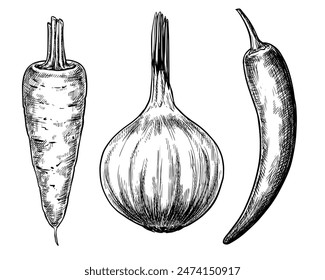 Carrot, onion and chili pepper vegetables set hand drawn vintage vector sketch drawing	