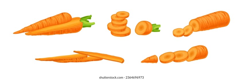 Carrot as Orange Root Vegetable Whole and Sliced Vector Set