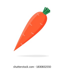 Carrot orange vector illustration on white background