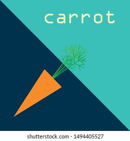 Carrot. Organic food poster. Farmer market design. Vector background.