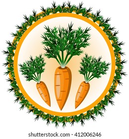Carrot. Organic vegetables, round vector, badge or sticker.