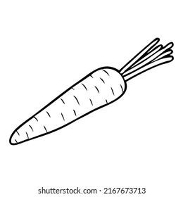 carrot outline illustration,isolated on white background,top view