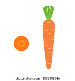 Carrot. Piece of carrot. Isolated Vector Illustration.