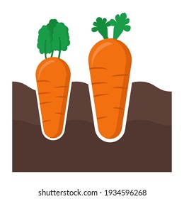 carrot plant flat icon illustration of vector graphic
