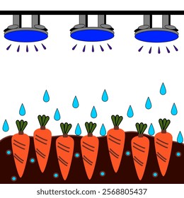 Carrot plant in the soil with innovation water drop. Representation of technology in agriculture. New world harvest concept.