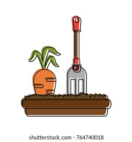 Carrot planted with little rake