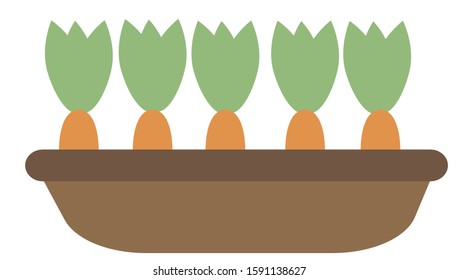 Carrot planter pot vector. Flat isolated planter illustration. 