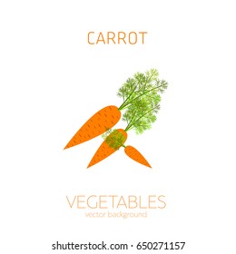 Carrot, postcard vegetable, organic fruit, vector illustration, fresh food, organic food, healthy eating, vector background
