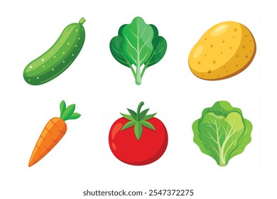 Carrot, Potato, Tomato, Cucumber, Lettuce, Spinach vegetables vector art