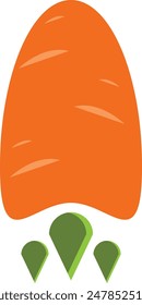 carrot rocket logo simple vector illustration