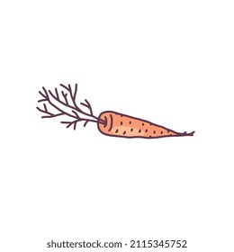 Icono o símbolo dibujado a mano por la raíz de la zanja, imagen vectorial de estilo doodle de color aislada en fondo blanco. Comida vegetariana saludable o planta de zanahoria.