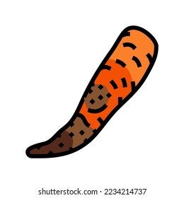 carrot rotten food color icon vector. carrot rotten food sign. isolated symbol illustration
