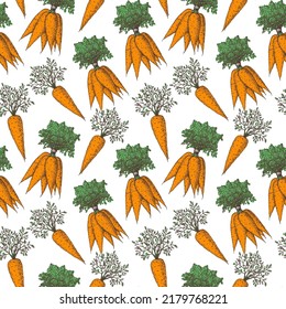 Carrot seamless pattern. Hand drawn background. Vector illustration. Color illustration. Carrot vegetable hand drawn backdrop. Root vegetable.