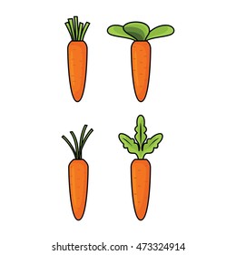Carrot Set With Different Leaves