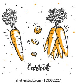 Carrot set in hand drawn style. Raw vegan food. Fresh vegetables in vector style.