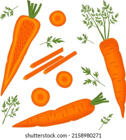 Conjunto de zanahorias con verduras, mitades y rodajas enteras Ilustración vectorial de estilo plano aislado sobre fondo blanco.