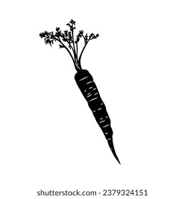 Carrot silhouette. Silhouette of Carrot in black and white colors. Hand Drawn Carrot isolated on white background. vector illustration. Cartoon Carrot Vegetable in black silhouette.