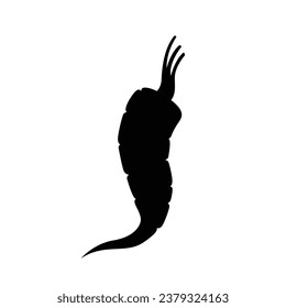 Carrot silhouette. Silhouette of Carrot in black and white colors. Hand Drawn Carrot isolated on white background. vector illustration. Cartoon Carrot Vegetable in black silhouette.