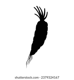Carrot silhouette. Silhouette of Carrot in black and white colors. Hand Drawn Carrot isolated on white background. vector illustration. Cartoon Carrot Vegetable in black silhouette.
