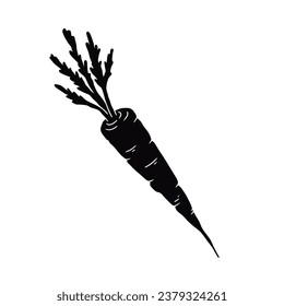 Carrot silhouette. Silhouette of Carrot in black and white colors. Hand Drawn Carrot isolated on white background. vector illustration. Cartoon Carrot Vegetable in black silhouette.