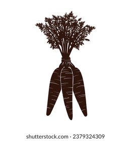 Silhouette de zanahoria. Silhouette de Carrot en colores blanco y negro. Zanahoria dibujada a mano aislada sobre fondo blanco. ilustración vectorial. Caricatura Hormigón Vegetable en silueta negra.