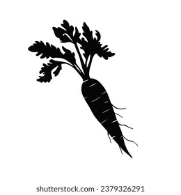 Silhouette de zanahoria. Silhouette de Carrot en colores blanco y negro. Zanahoria dibujada a mano aislada sobre fondo blanco. ilustración vectorial. Caricatura Hormigón Vegetable en silueta negra.