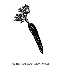 Carrot silhouette. Silhouette of Carrot in black and white colors. Hand Drawn Carrot isolated on white background. vector illustration. Cartoon Carrot Vegetable in black silhouette.