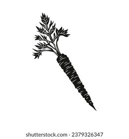 Carrot silhouette. Silhouette of Carrot in black and white colors. Hand Drawn Carrot isolated on white background. vector illustration. Cartoon Carrot Vegetable in black silhouette.