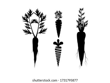 Carrot silhouette vector symbol sign icon. Carrot vector icon on a white background