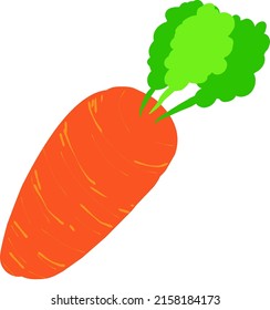 Carrot simple vector design with bright colour