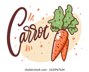Carrot sketch. Hand draw vector illustration. Cartoon style. Isolated on white background.