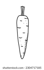 Carrot sketch icon doodle. Vector drawing vegetable on a white background.
