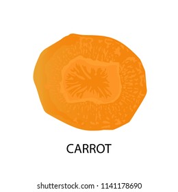 Carrot slice. Useful vegetables