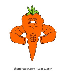 Carrot Strong Cool serious. Vegetable powerful strict. Vector illustration