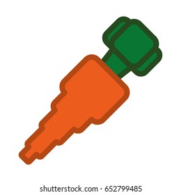 carrot sweet vegetable