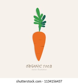 carrot symbol. organic natural product.