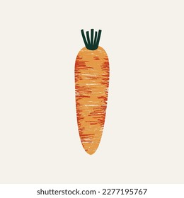 Carrot textured illustration. Vector vegetable illustration