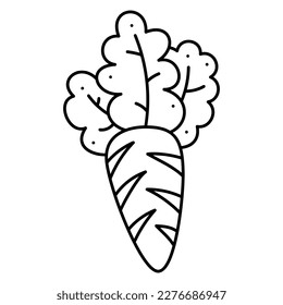 Carrot third abstract. Doodle vector black and white illustration.