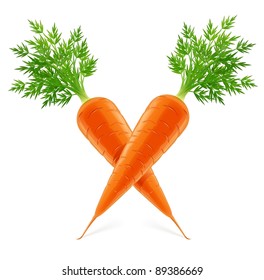 carrot with top vector illustration isolated on white background