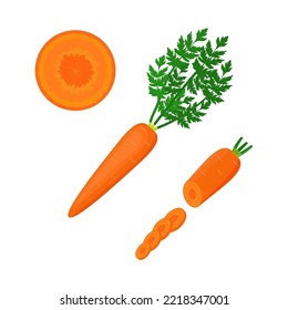 Carrot with tops and carrot slice vector illustration