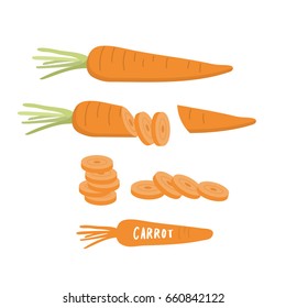 carrot vector