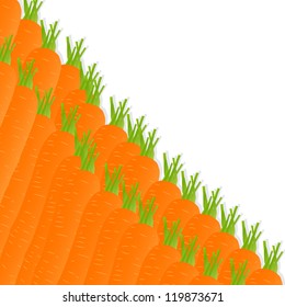 Carrot vector background ecology concept