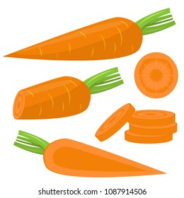 carrot vector design illustration