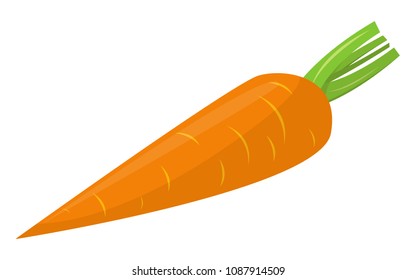 carrot vector design illustration